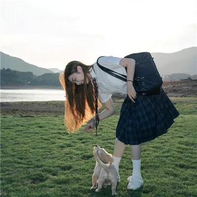 江豚·风时舞